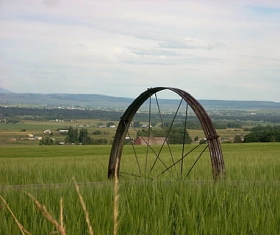 Sistema-Riego-Polietileno-Rollo