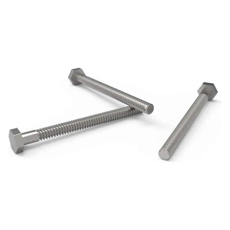 Tornillo Aisi Ducha