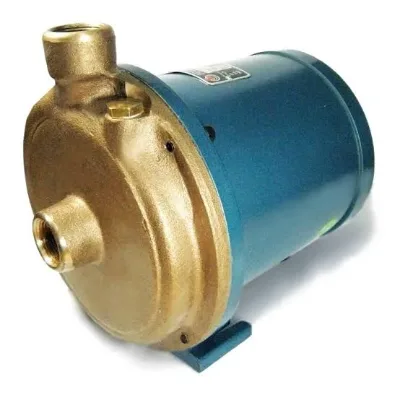 Bomba Circuladoras 20/1 m Rowa