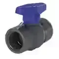 Duke