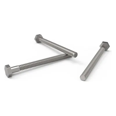 Tornillo Aisi Ducha