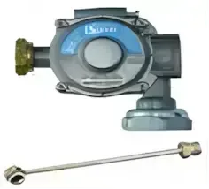 Regulador Modelo Gs-5 (5 Nm3/Hora) Gas Propano - Salustri